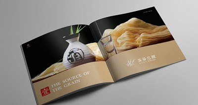 家具画册设计印刷公司-设计过图形分割版面